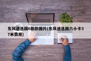 东风途逸国6新款图片(东风途逸国六小卡37米费用)