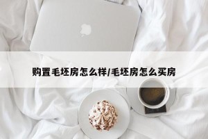 购置毛坯房怎么样/毛坯房怎么买房