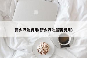 新乡汽油费用(新乡汽油最新费用)