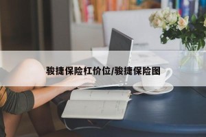 骏捷保险杠价位/骏捷保险图